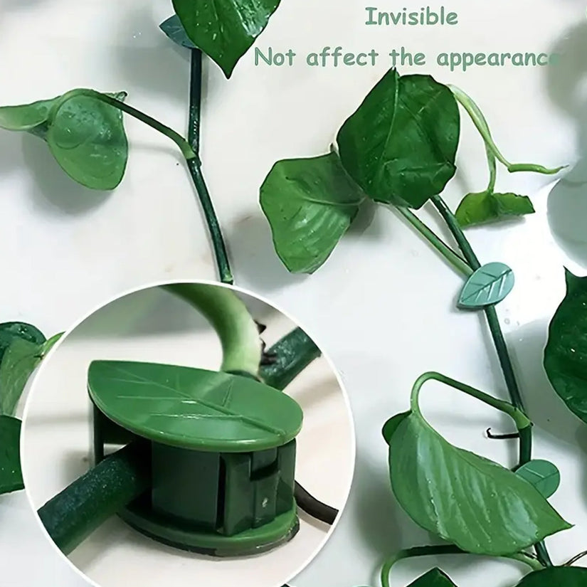 Plant Climbing Wall Clip,Self-Adhesive Vines Support Hooks for Indoor & Outdoor (10 Pcs Set)