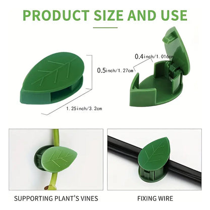 Plant Climbing Wall Clip,Self-Adhesive Vines Support Hooks for Indoor & Outdoor (10 Pcs Set)