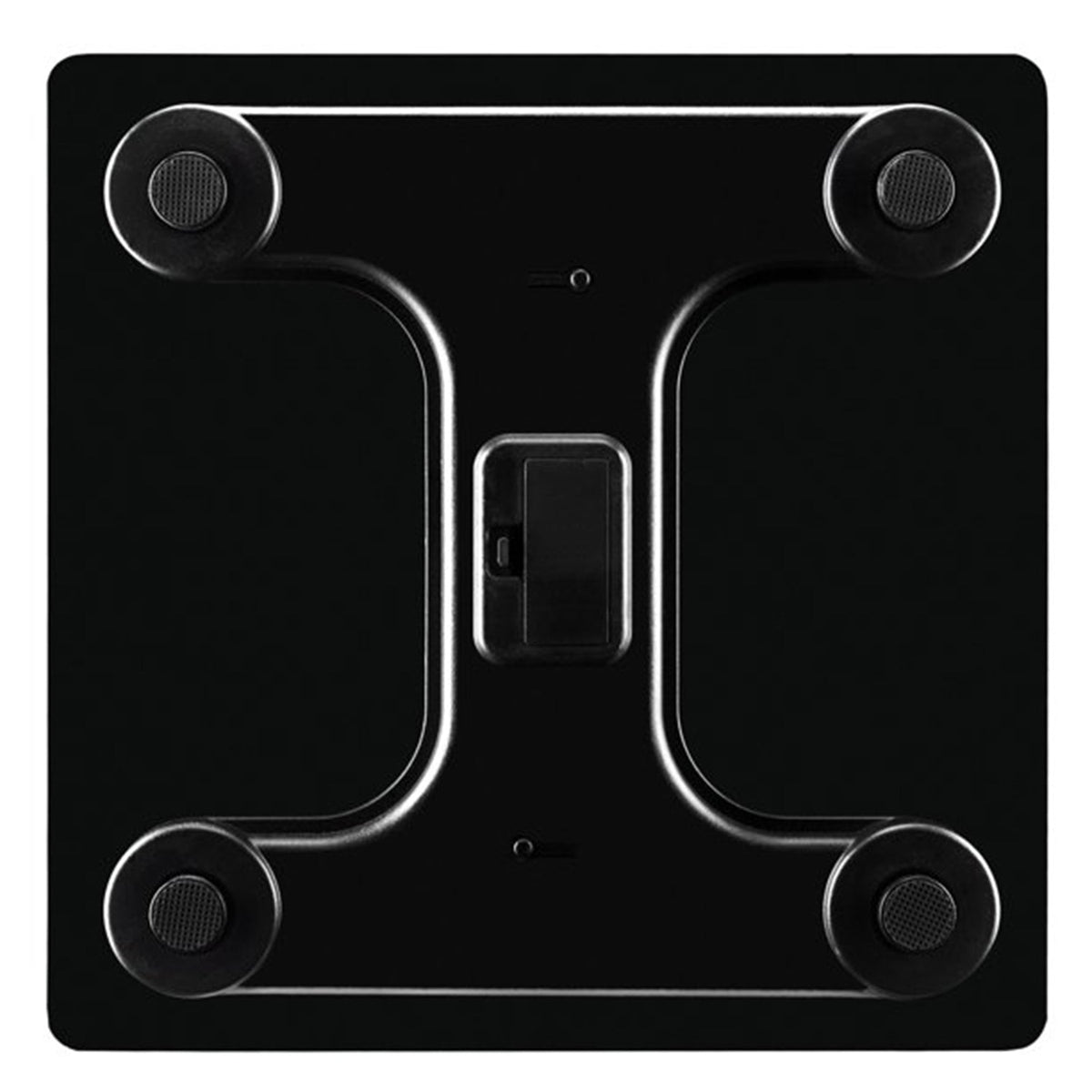 Body fat scale with BMI and muscle mass
